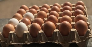 Eggs in egg box