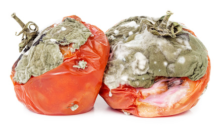 Is Moldy Food Dangerous? Not Always